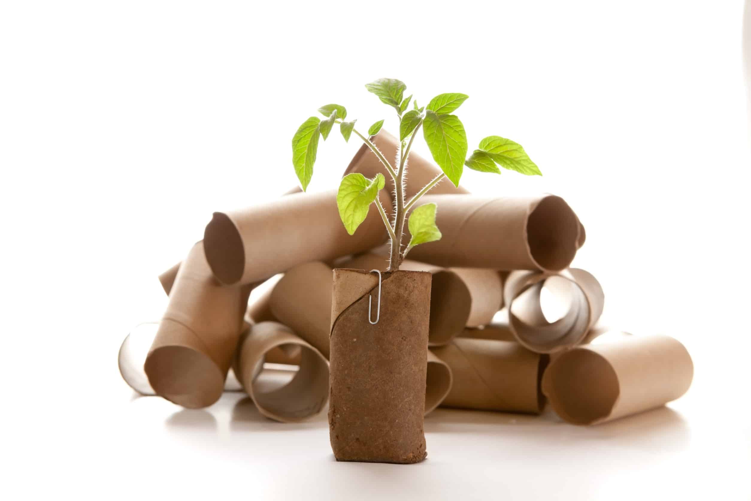 Green Eco-friendly plumbing in Brooklyn NY