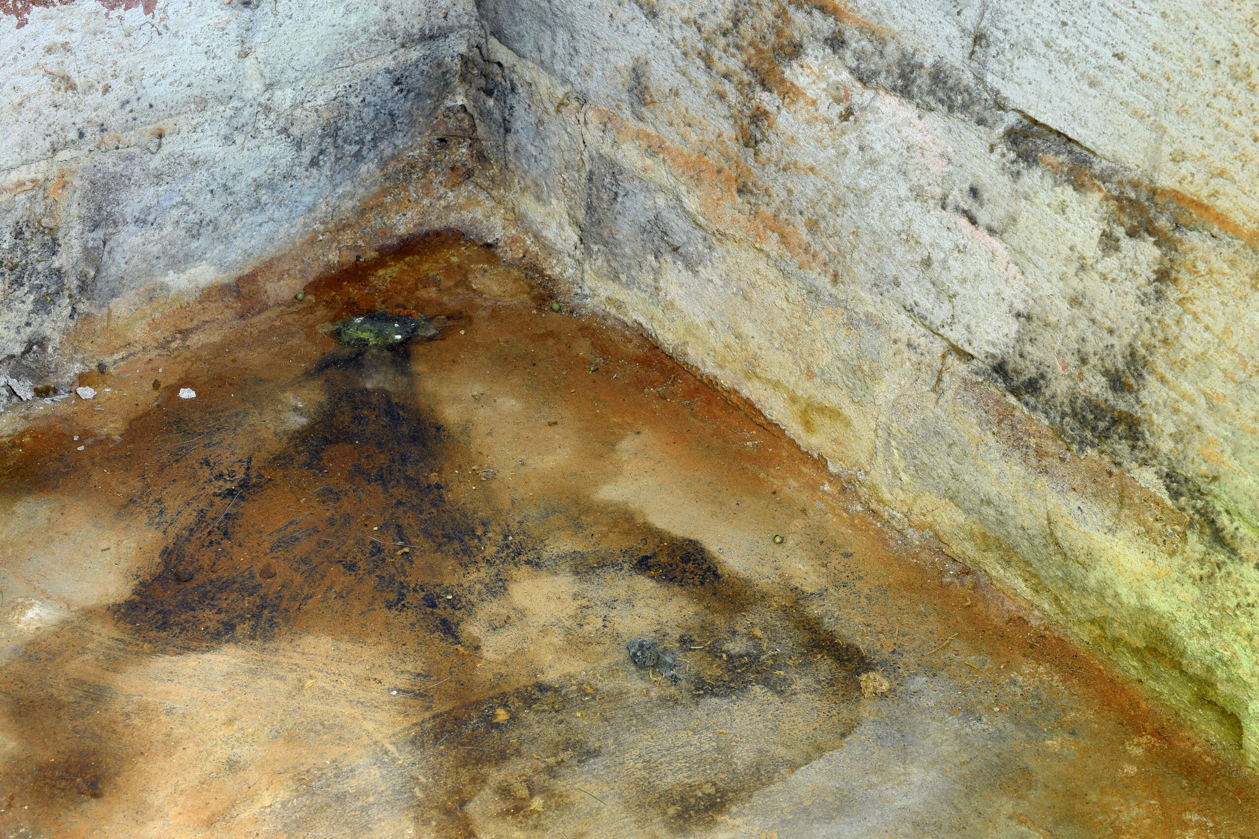 Moldy Basement in Brooklyn, NY