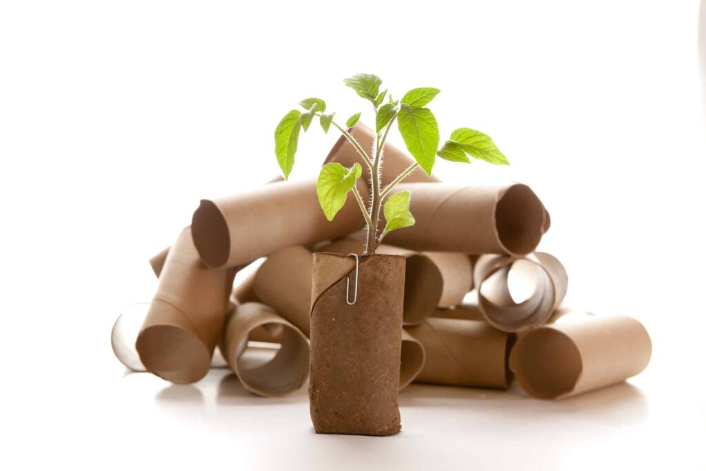 Green Eco-friendly plumbing in Brooklyn NY
