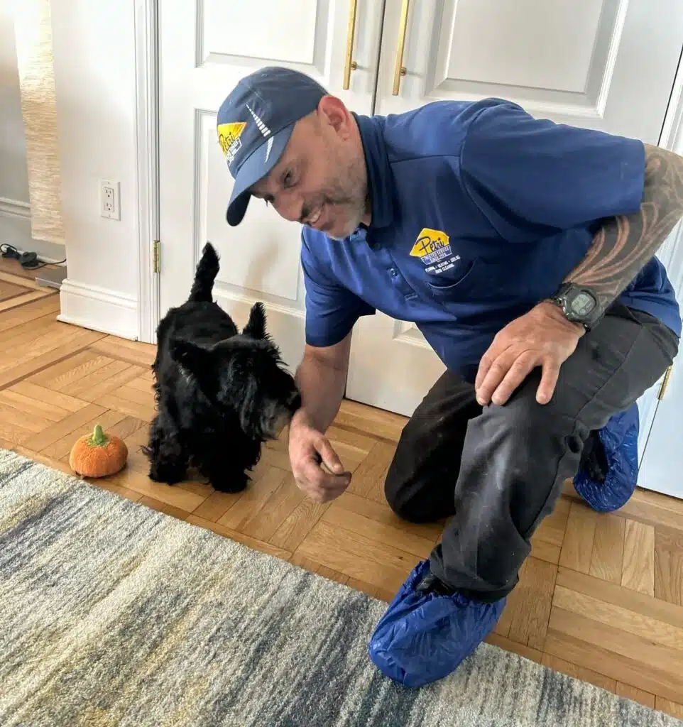 Halloween can be scary for your plumbing