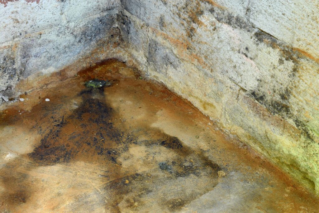 Moldy Basement in Brooklyn, NY